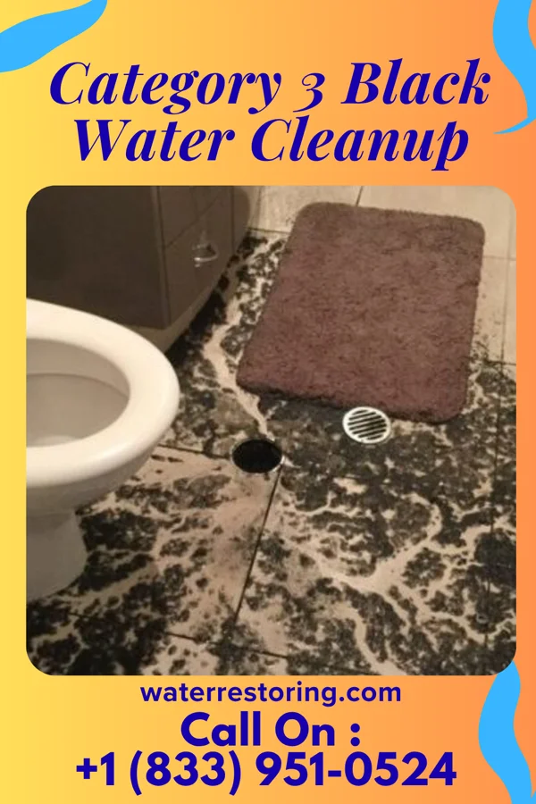 Category 3 Black Water Cleanup in Pensacola, OK